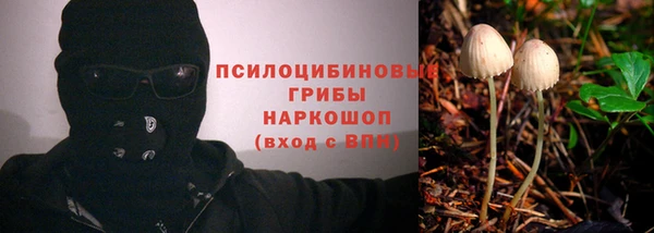 MESCALINE Нефтекумск