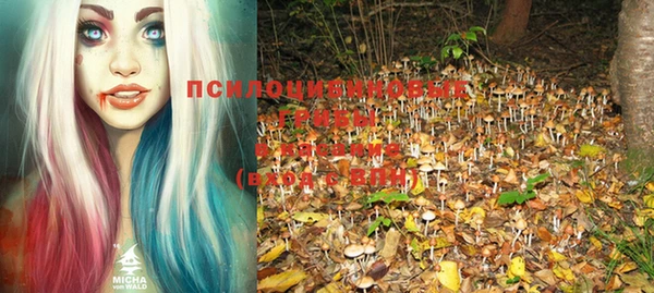 марки lsd Нея