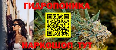 эйфоретик Гай