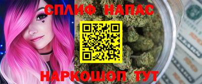spice Гагарин