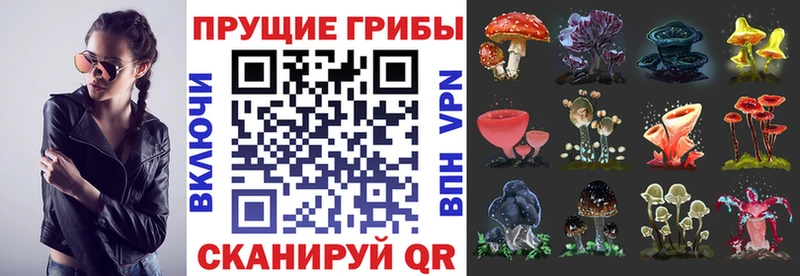 Галлюциногенные грибы Magic Shrooms МЕГА ONION Протвино