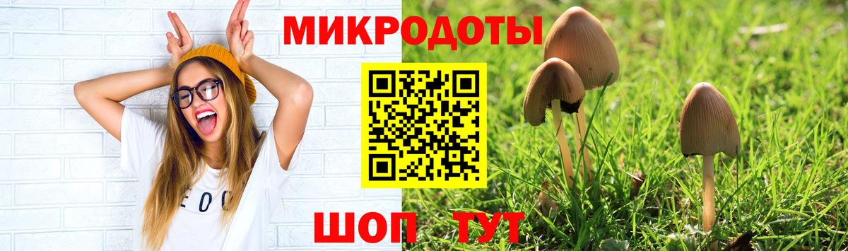 Галлюциногенные грибы MAGIC MUSHROOMS Протвино
