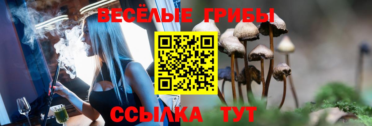 Псилоцибиновые грибы ЛСД  Вход с VPN  Галлюциногенные грибы Magic Shrooms  Протвино 