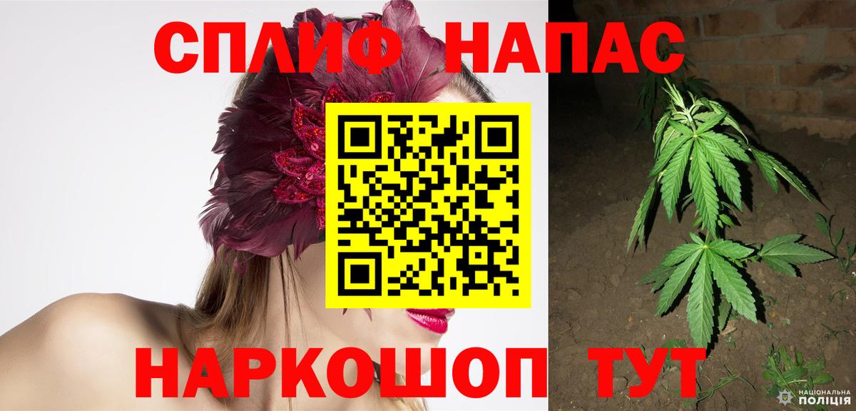Шишки марихуана MAZAR  Бошки Шишки ГИДРОПОН  Вход с VPN  Протвино 