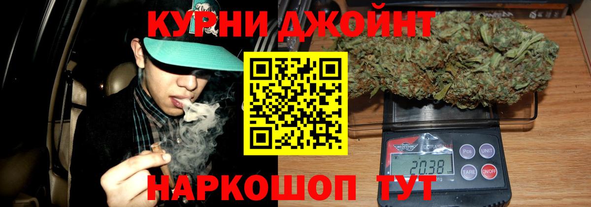 Бошки Шишки планчик Протвино